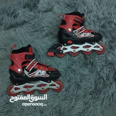 13 (   2025 ) Skat VIP
