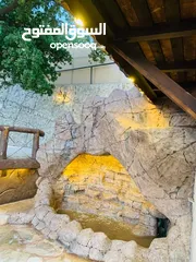  3 شالية رمسيس  Ramesses Chalet وسط اجمل غابات عجلون أطلالة بانورامية