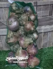  1 بصل عماني احمر شوف الوصف تحت
