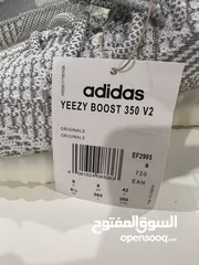  5 كوتشي Yeezy جديد