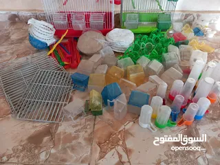  4 مستلزمات  طيور زينه اقفاص ومستلزمات الاقفاص والطيور والتعشيش