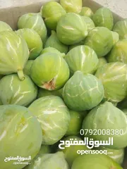  9 اجمل مزرعه بافضل سعر جاهزه مشجره منطقه دحل جرش