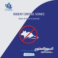  10 Best Offer - Pest Control Service - i Pest Control Bahrain