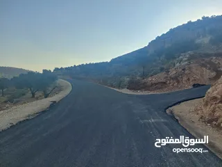  1 دونم ارض للبيع في الريحان