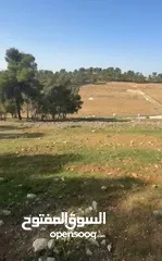  3 ارض مميزه للبيع  3 دونمات ونصف ارض مرتفعه مطله منطقه امنه  قطعة الارض تصلح  لبناء مزرعة او شاليه