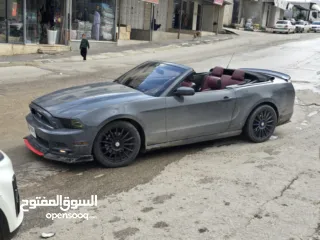  1 موستنج كشف