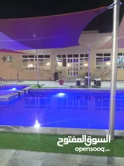  15 ضيوفنا الكرام  عيشو التجربه عنا بمزرعة وشاليه النور  مكان هادي وخصوصيه عائليه ومناظر طبيعية إلك وللأ