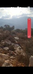  1 ارض للبيع في كفر نعمه مساحه دونم ونصف للبيناء