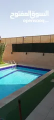  20 شاليه للايجار منطقه مطله جبل الروضه مطل ع البحر الميت وجبال فلسطين مسبح مغطى من اشعه الشمس