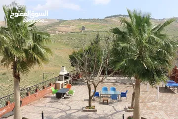  10 مزرعة للايجار في جرش - قرب السيل - 35 دقيقة عن عمان
