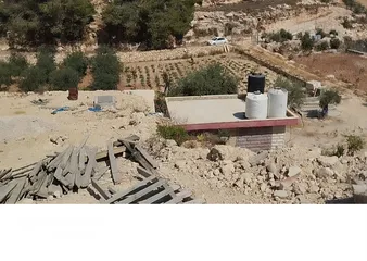  3 ارض معمرة ومرتبة (قريبة على كافيه زيتونة )