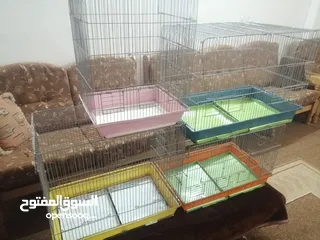  2 بيض بلدي. مطاير طيور مينا اربد (كل اشي مكتوب بالإعلان)