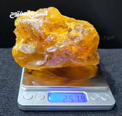  1 كهرب بولوني أصلي 100٪