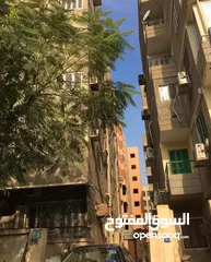  1 شقة للإيجار بالمهندسين دور اضي