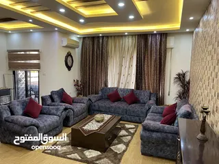  17 شقة مفروشة فاخرة للإيجار في الشميساني