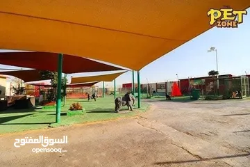  4 احجز لاقامه كلبك وراحته