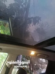  19 سنتفي 2013