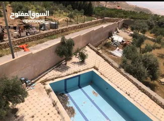  11 مزرعه للبيع في السلط مساحة الأرض 4218م مساحة البناء 450م