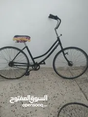  1 بسكويت فلبس نمره 26/25 في حال الوكاله