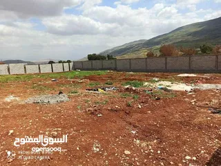  3 ارض مميزة لليع في النصارية