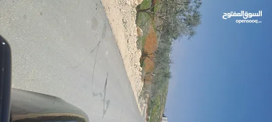  3 ارض للبيع ناعور الجديده حوض البويضه بالقرب من مدارس الجاليات ومدرسه ايبك قطعه سكنيه للفلل