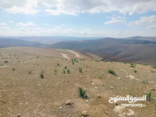 5 قطعة ارض 3دونمات ونصف فقط  مطلة ومرتفعه واصل جميع خدمات شرق جرش دحل