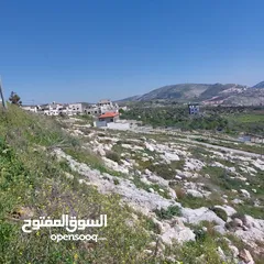  1 ارض بمساحه نصف دونم كوشان مستقل