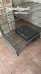  5 Large pets crate perfect for big and small animals indoor or outdoor use.  قفص حيوانات كبير