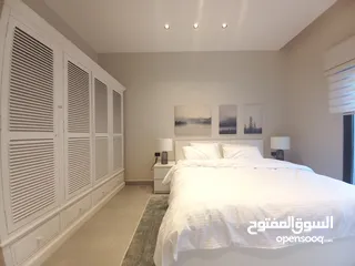  2 Furnished Apartment For Rent In 4th Circle  ( Property 36436 )-174804994