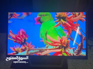 1 شاشة 50 بوصة ميلار سمارت حديث