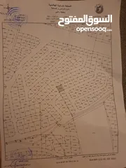  1 قطعة أرض مميزة - الجبيهة شارع الأردن