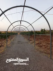  1 ارض للبيع في الجنوب