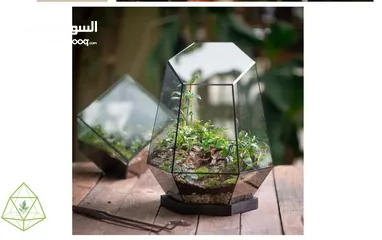  8 Moss walls for houses and office + Gallery 1 art work