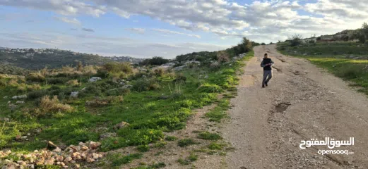  13 دونم ارض طابوا فلسطيني منطقة (B)بالقرب من دوار كفرصور جميع الخدمات فيها عليها شارع 12متر موقع مميز