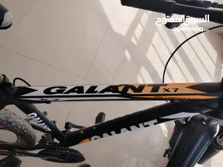  1 2024GALANIT
