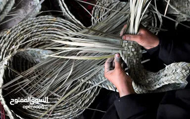  17 مشروع المليون دينار فقط لأصحاب مطاعم الحمص والفول والفلافل والمستثمرين من يرغب الأستثمار في المشروع