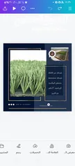  5 شركه متخصصه بأنشاء الملاعب الرياضيه نجيل صناعي
