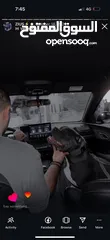 4 بولدوج للبيع !