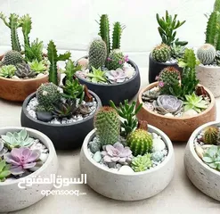  18 Handmade pots