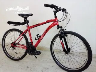  39 FOCUS BICYCLE FOR SALE