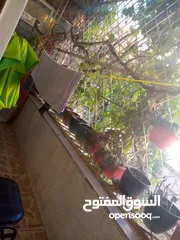  6 اعلان طقم كنب مستعمل للبيع بحالة جيدة