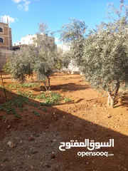  5 بيت للبيع في الرجم الشامي