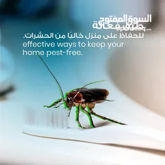  1 رش حشرات للمنازل والمحلات مع ضمان النتيجة وسرعة الاستجابة وكفالة