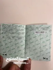  4 للبيع كلب جيرمن شيبرد مستورد من أوكرانيا