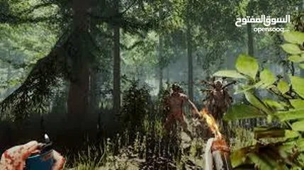  3 (The Forest) حساب ستيم (PC/ كمبيوتر ) بسعر مغري  توصيل فوري