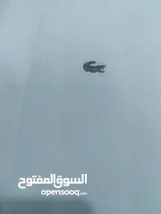  2 قمصان رجالي و وولادي جميع المقاسات ماركة زارا وبولو بأسعار مخفضة القميص ب دينارين