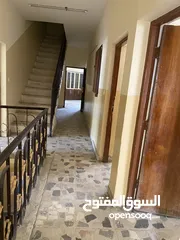  3 مزرعة ملك صرف على نهر ديالى