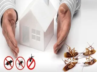  9 شركة مكافحة حشرات الكويت خدمات مكافحة الحشرات والقوارض ورش حشرات إبادة حشرات ورش مبيدات حشرية