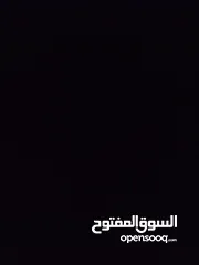  18 حساب بلوكس فروت للبيع  لفل 550  فواكه نادرة  فلوس 2,500,000  توزيع ممتاز  قابل للتفاوض