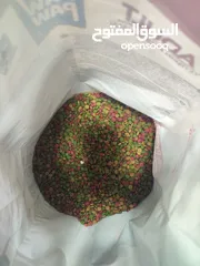  3 اكل قطط نفل الكيلو بس دينارين و ايطالي كمان و تاريخ بعيد